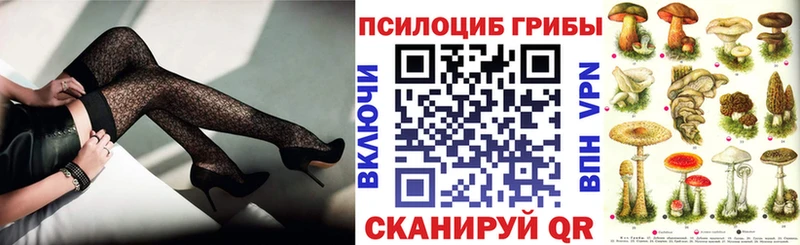 kraken tor  Чкаловск  Галлюциногенные грибы Psilocybe 